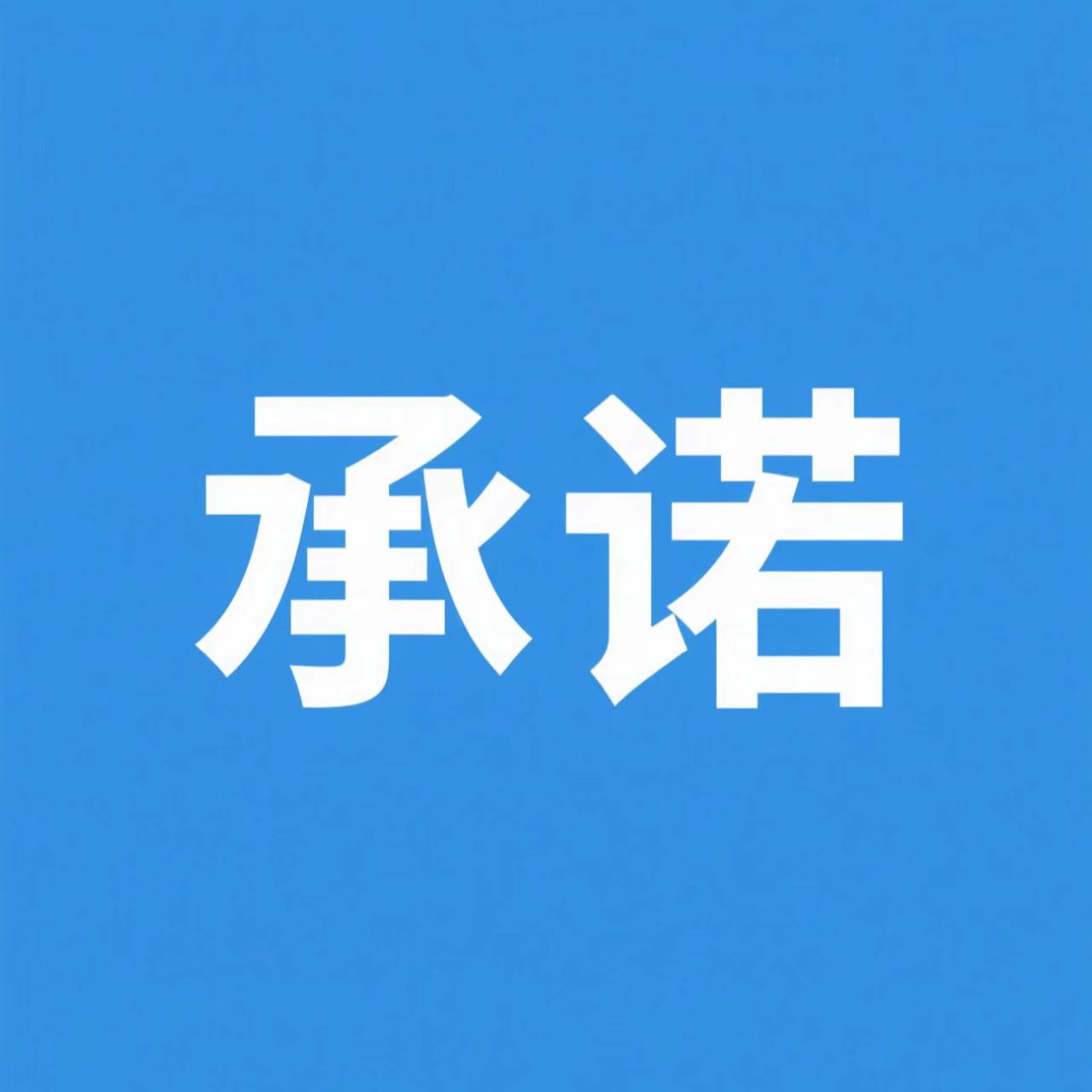 承诺